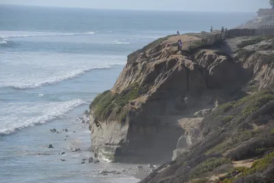 DSC_6990 (Large).JPG